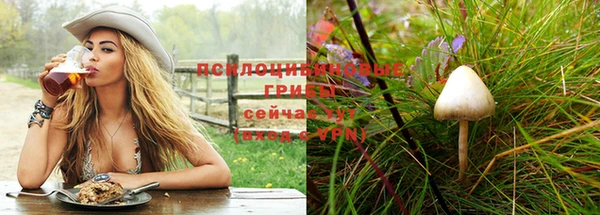 молекула духа Абаза