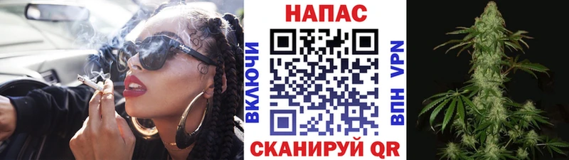 Канабис гибрид Устюжна